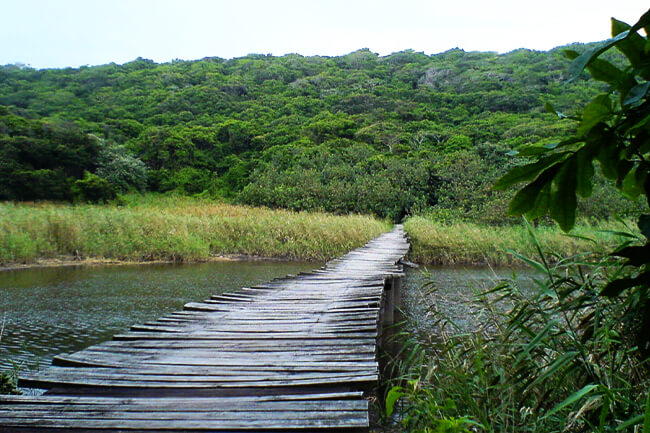 Umhlanga Lagoon Nature Reserve